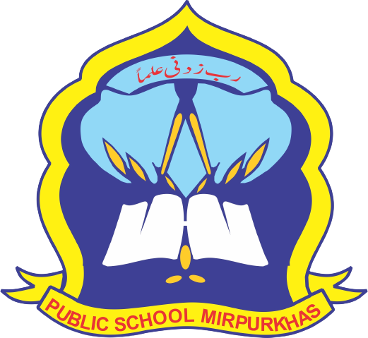 PSM Logo